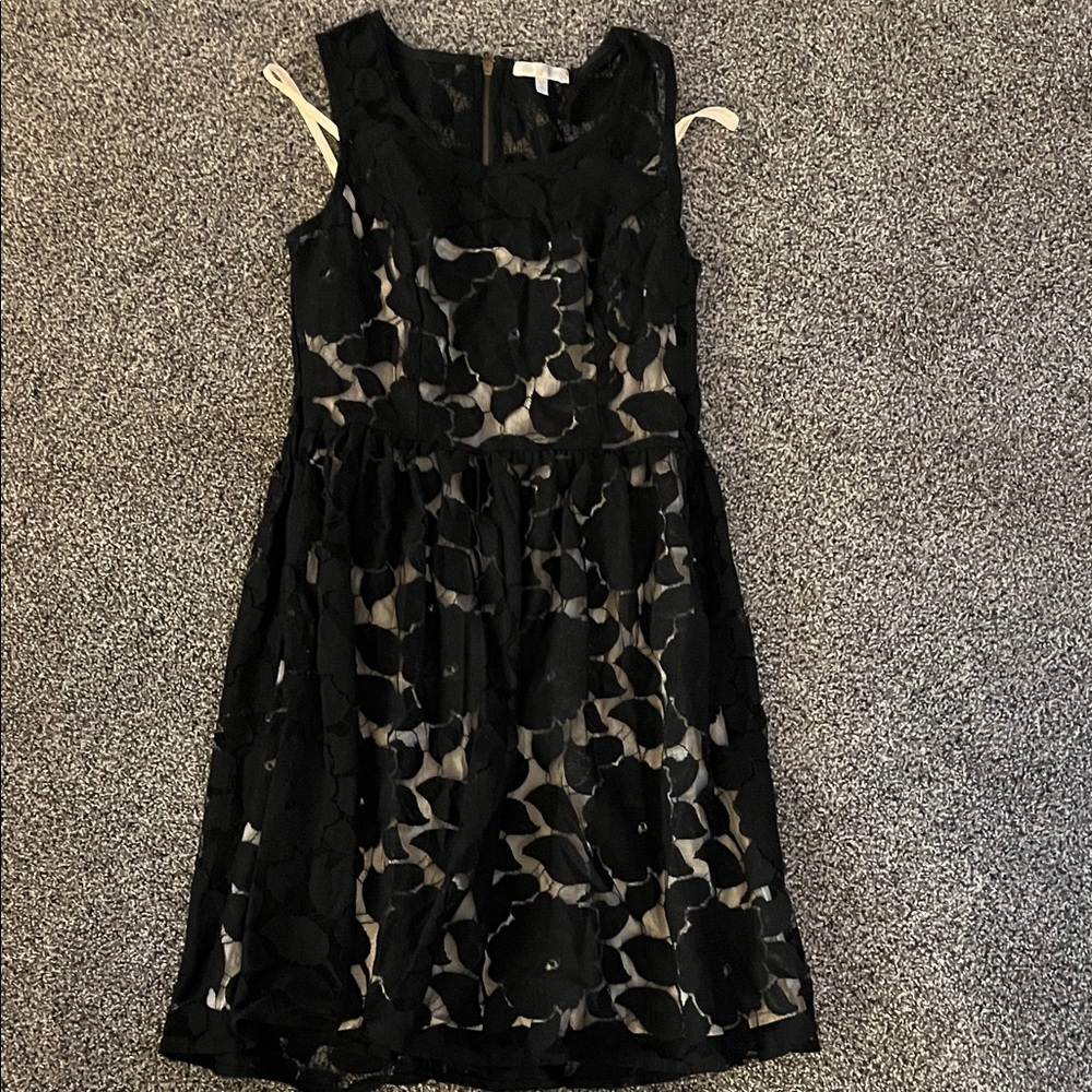 Just Ginger Black and Cream Midi Dress